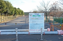 いせさきふらっと観光『フラワーさくら平塚公園(平塚公園)  スケートボード開放エリア』